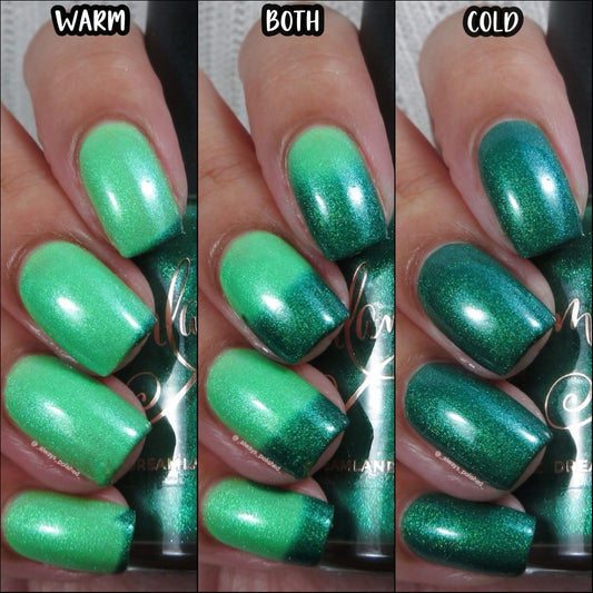 Gnome for the Holidays