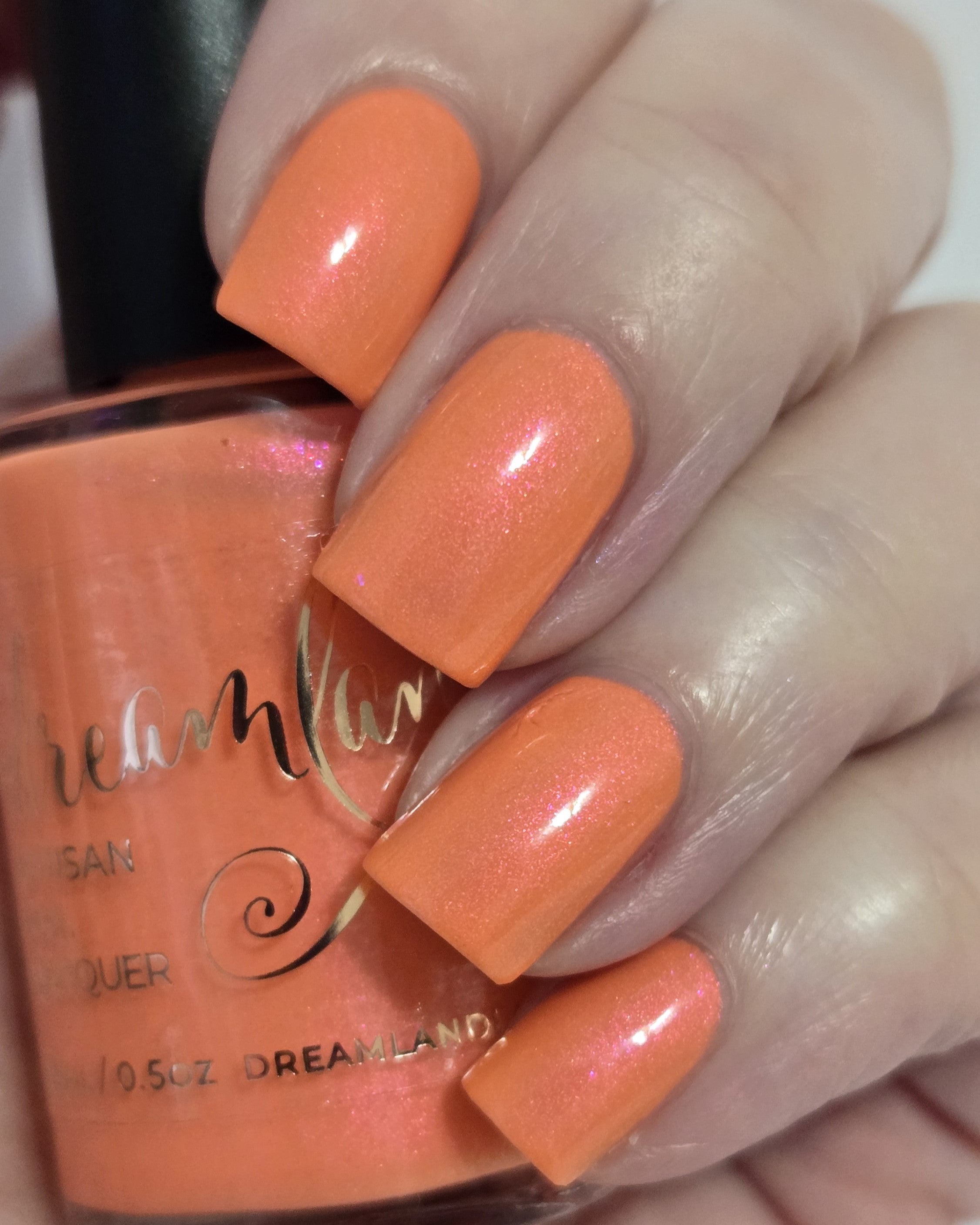 Coral Cabana
