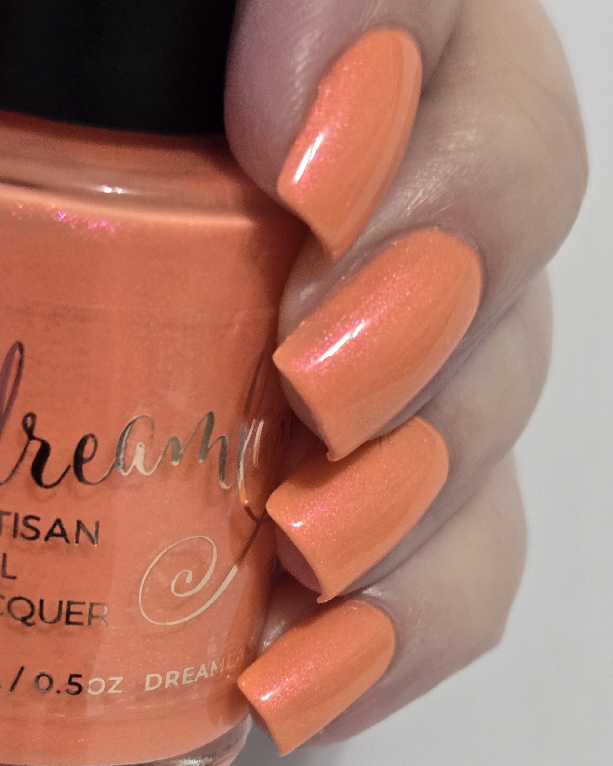 Coral Cabana