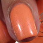 Coral Cabana