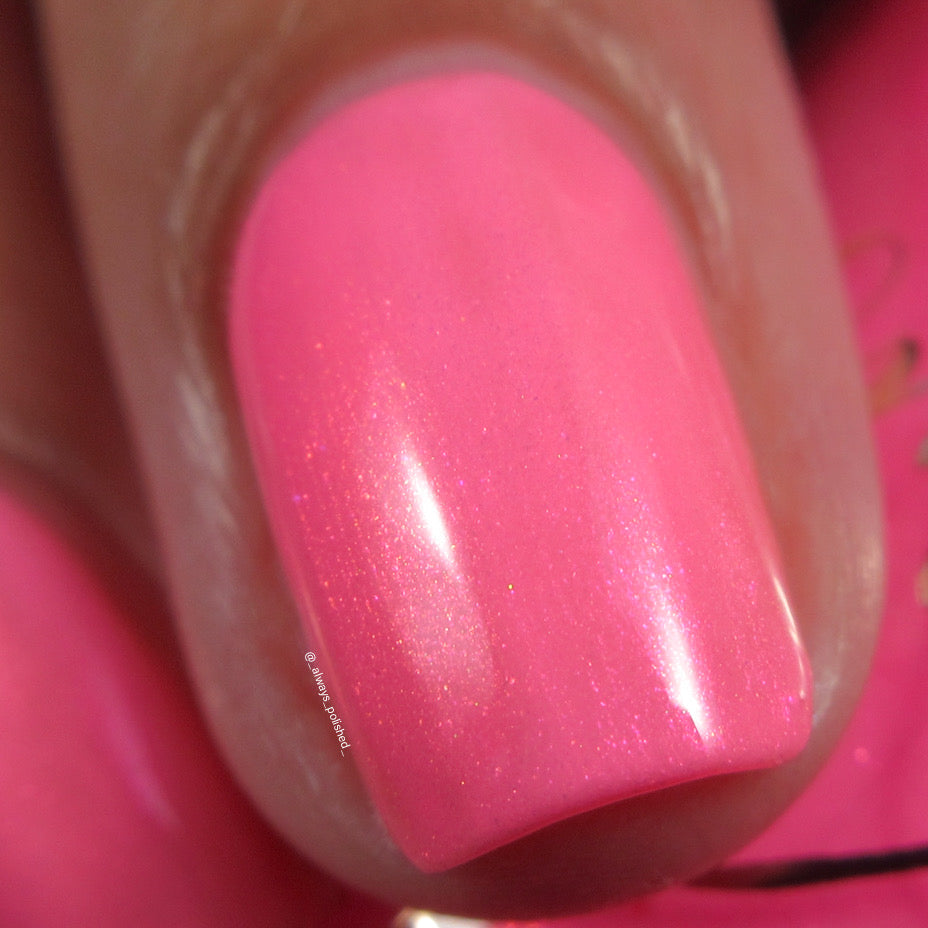 Flamingo Fantasy
