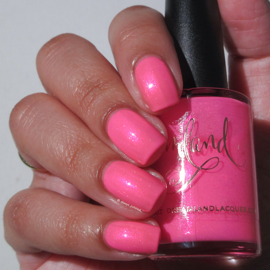 Flamingo Fantasy