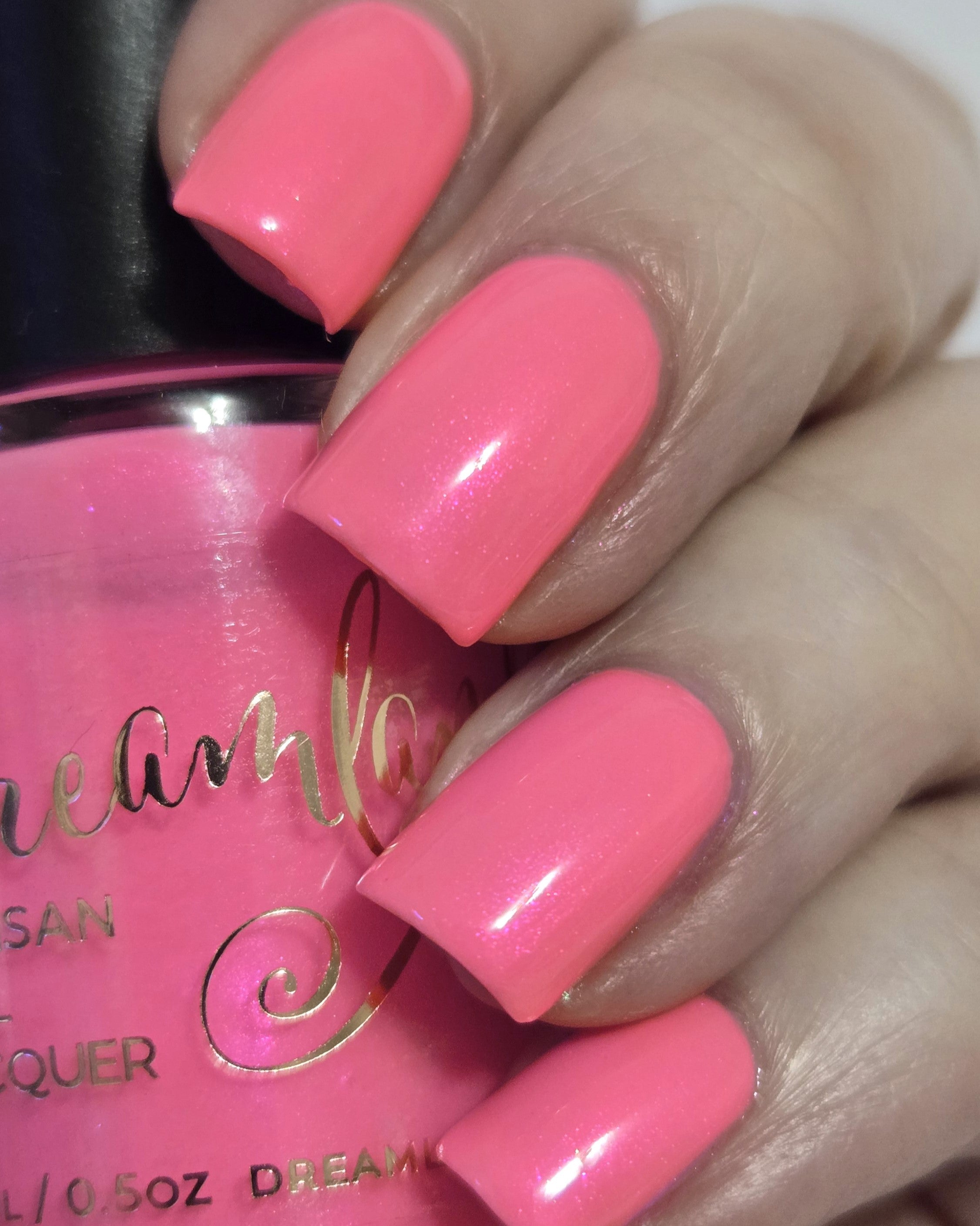 Flamingo Fantasy