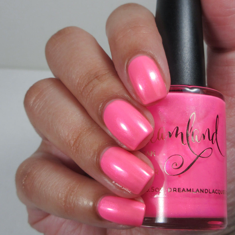 Flamingo Fantasy