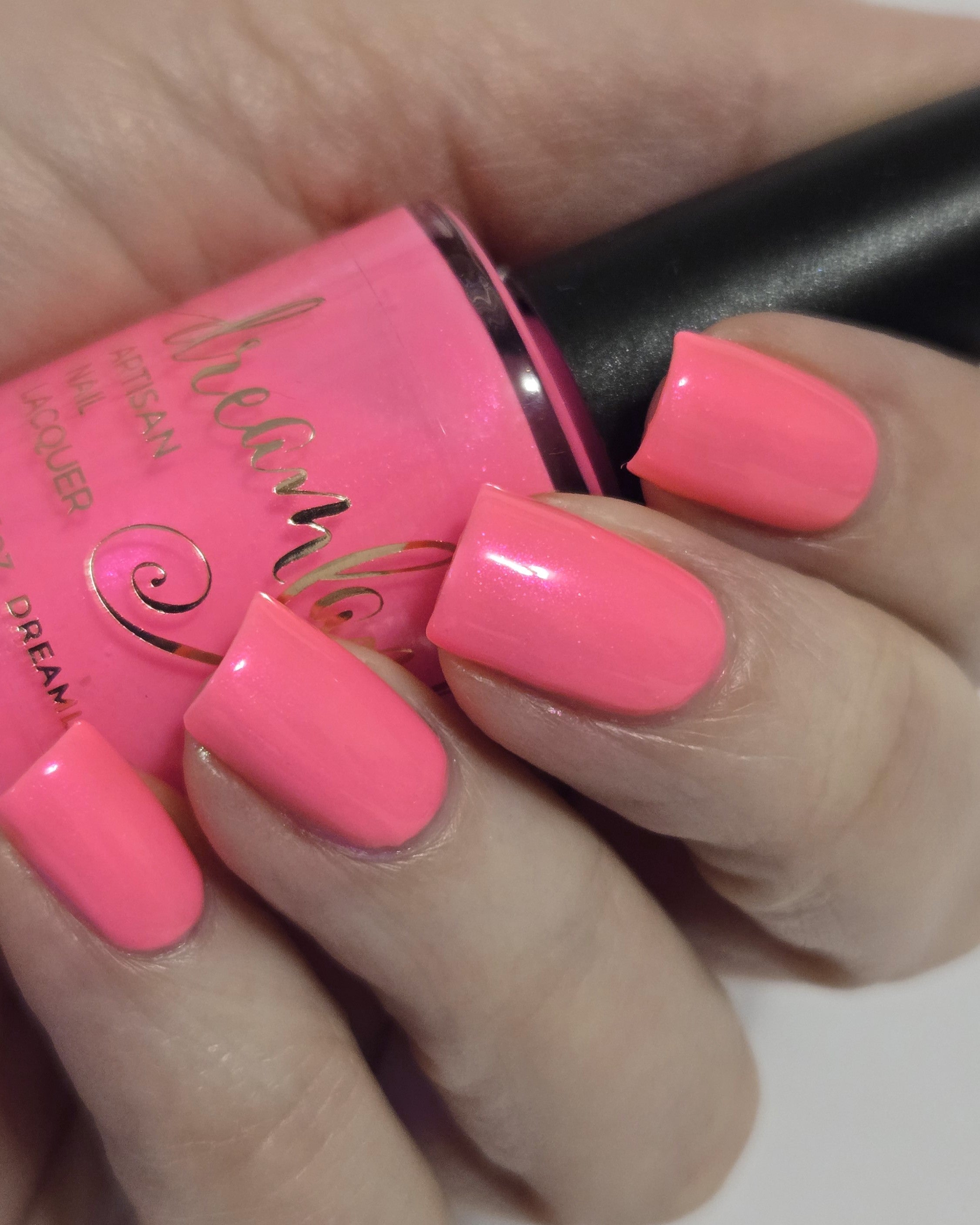Flamingo Fantasy