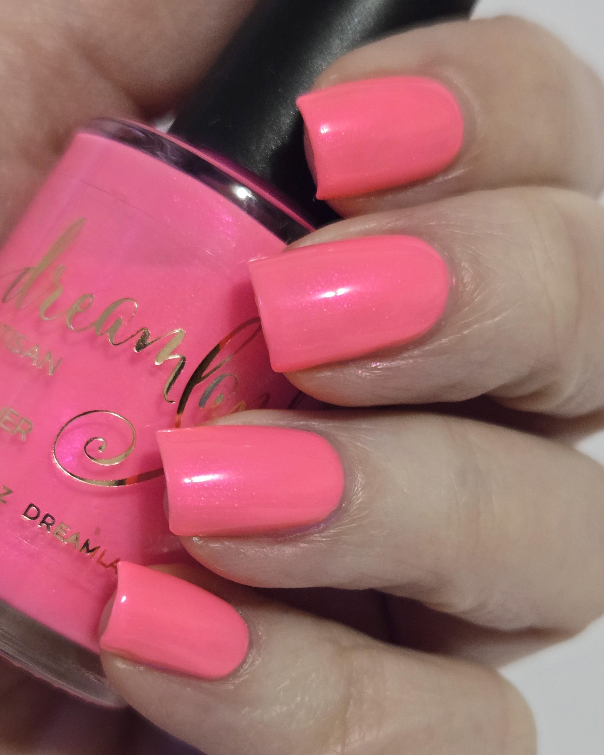 Flamingo Fantasy