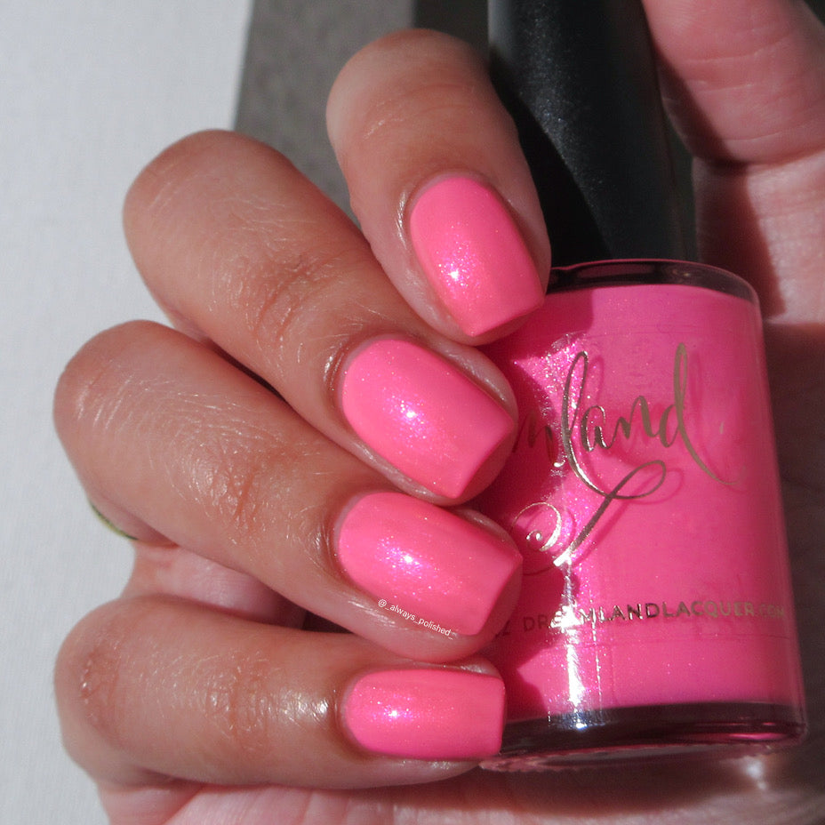 Flamingo Fantasy