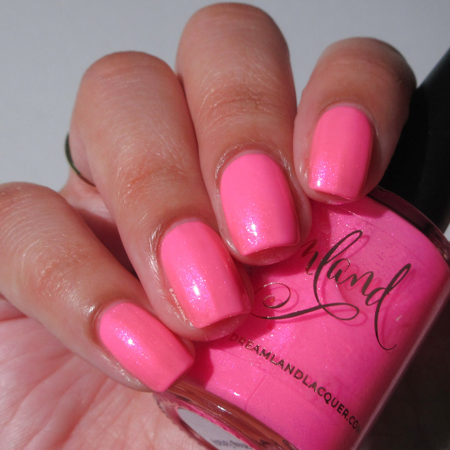 Flamingo Fantasy