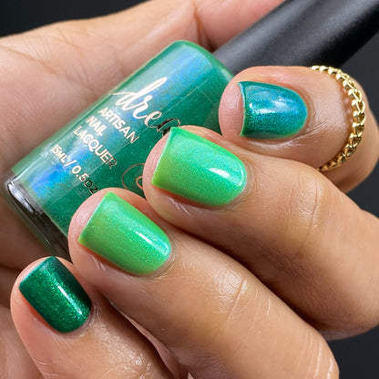 Gnome for the Holidays