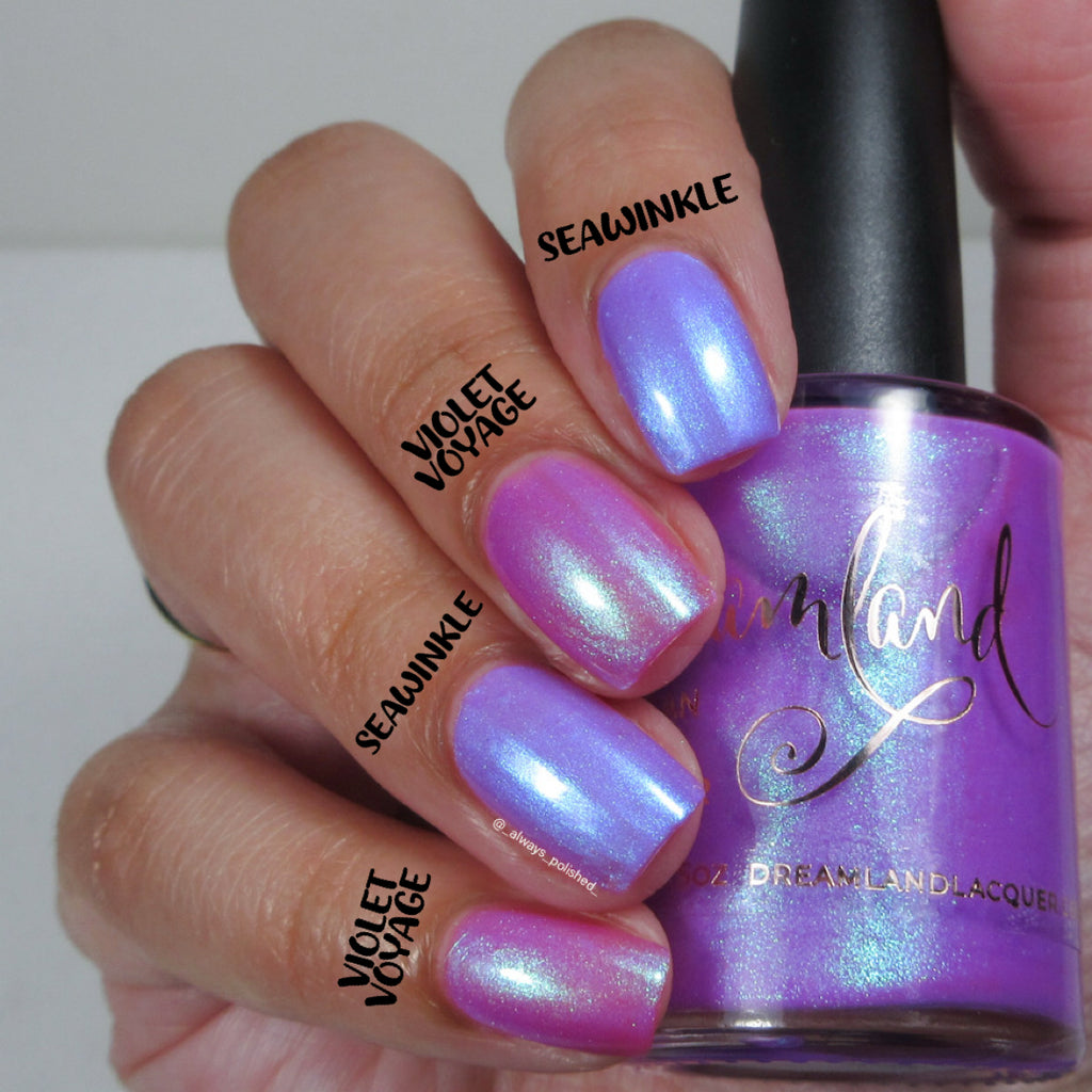 Violet Voyage