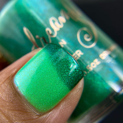 Gnome for the Holidays