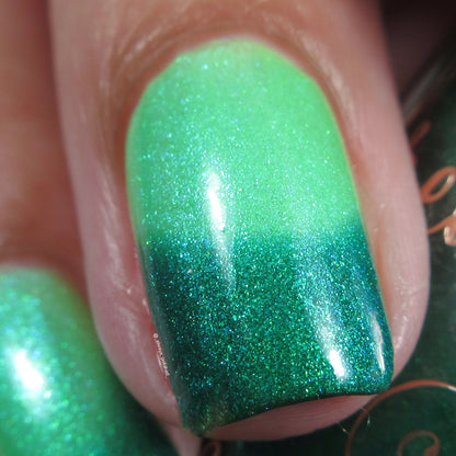 Gnome for the Holidays