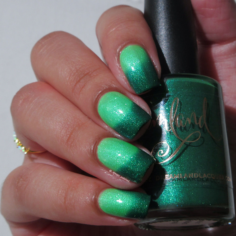 Gnome for the Holidays