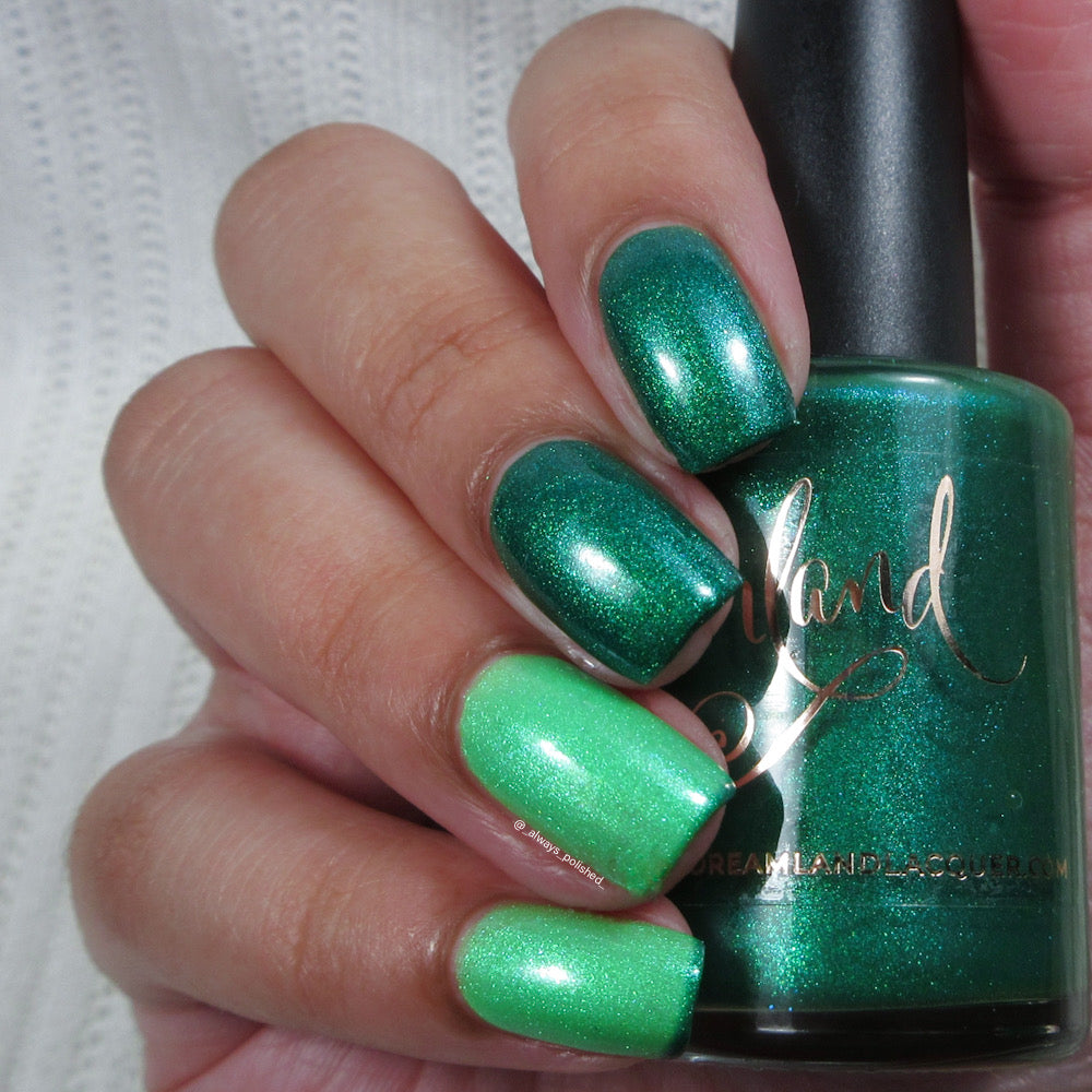 Gnome for the Holidays