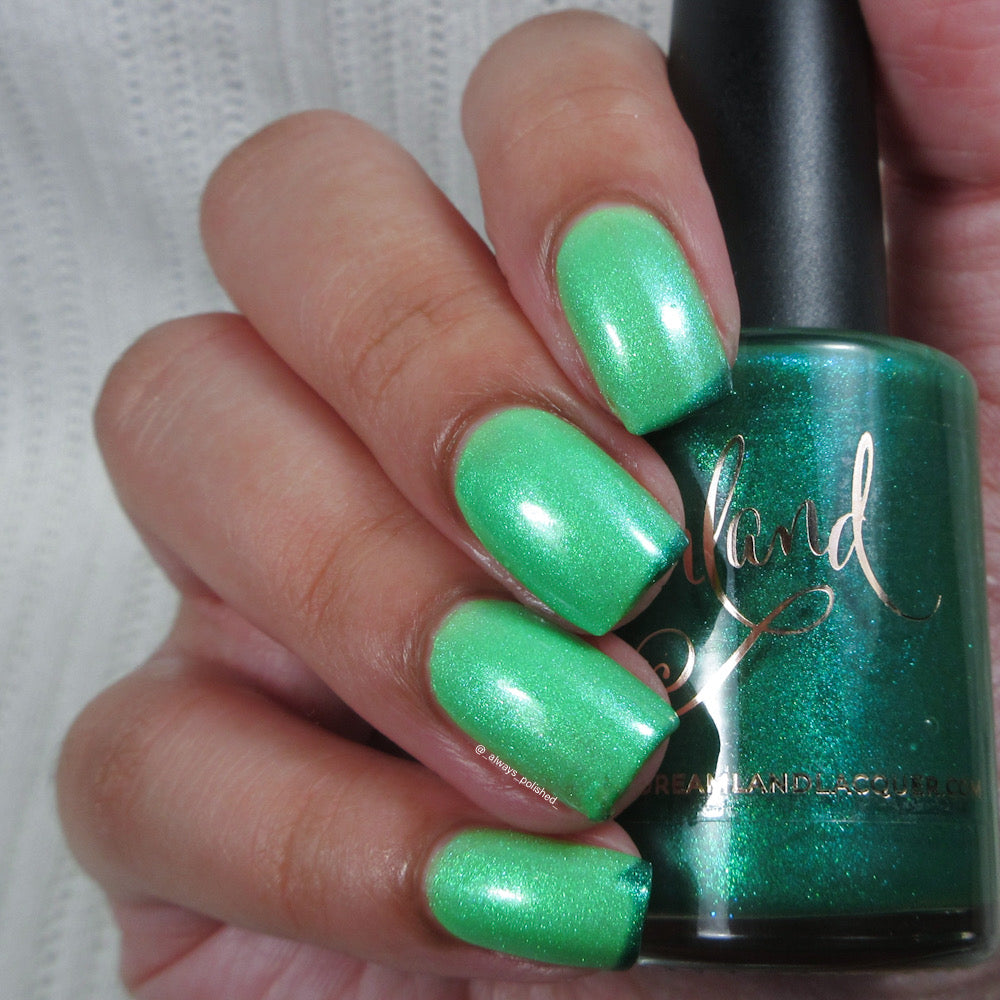 Gnome for the Holidays