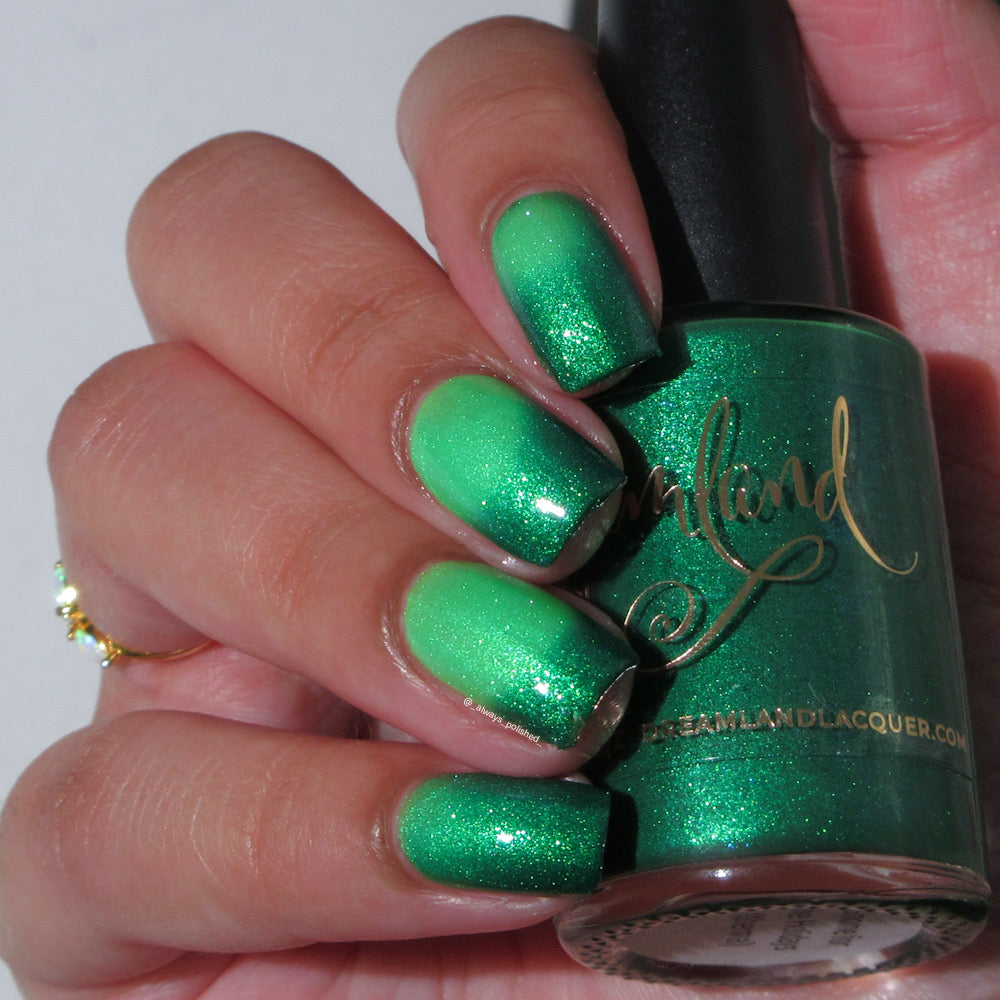 Gnome for the Holidays