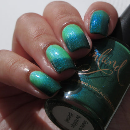 Gnome for the Holidays