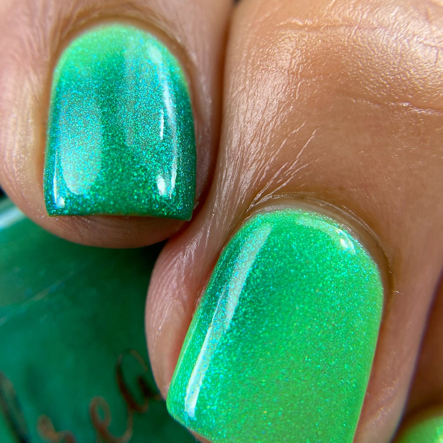 Gnome for the Holidays