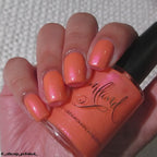 Coral Cabana