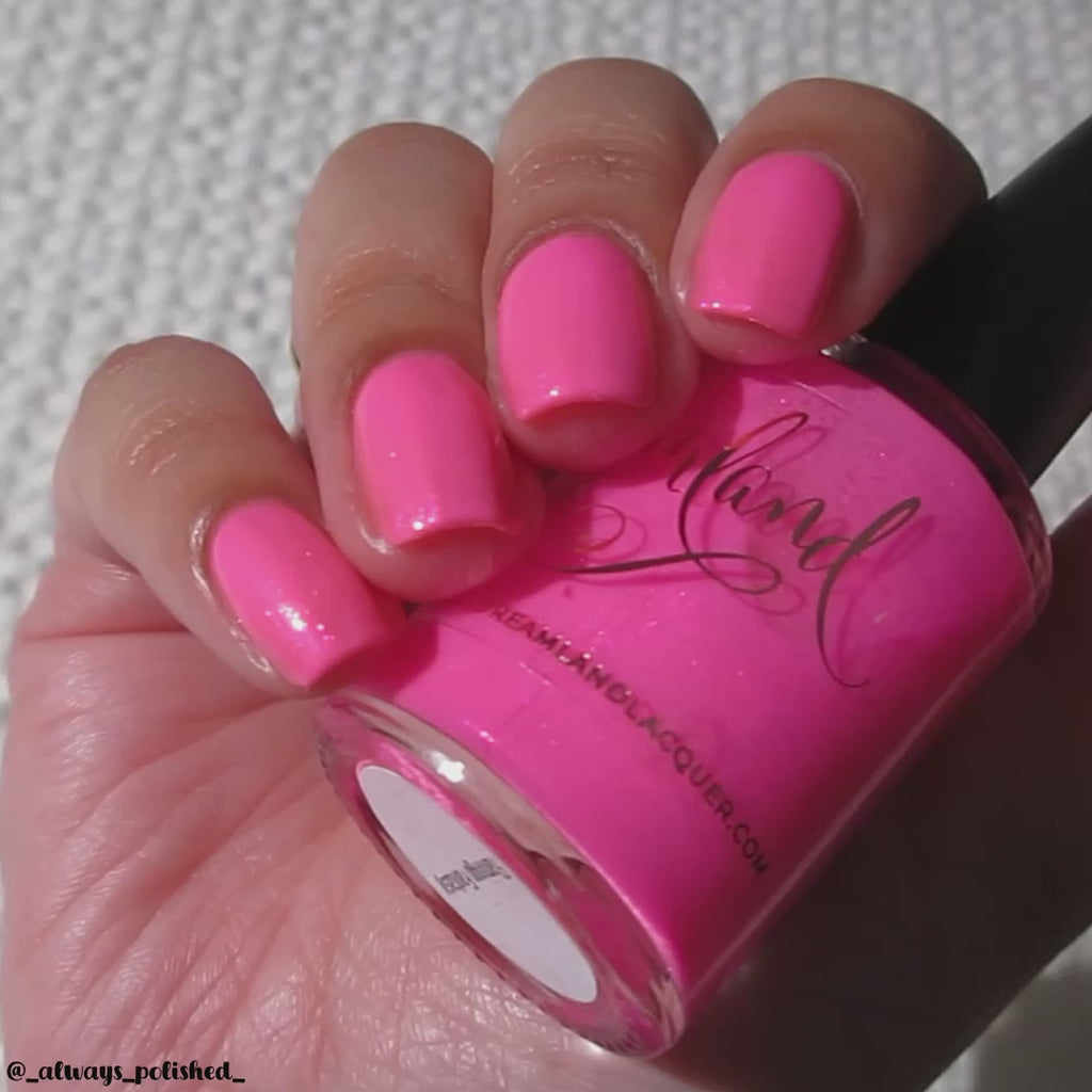 Flamingo Fantasy