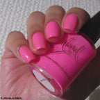 Flamingo Fantasy